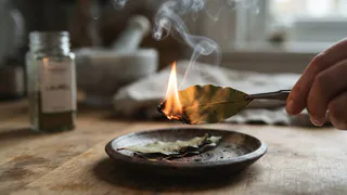 Каждый вечер поджигаю лавровый лист и не могу нарадоваться: лайфхак от наших бабушек, который работает