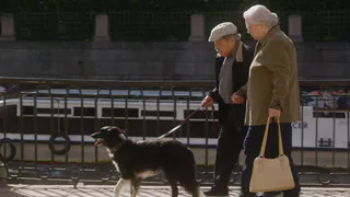 «Золотой Витязь» уехал в Россию: фильм о старости без прикрас признан лучшим среди 16 стран