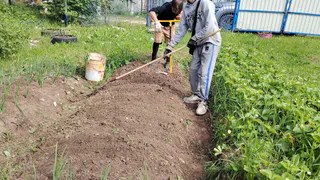 Забудьте о тяпке до осени: гениальный метод из СССР, который делает дорожки между грядками идеально чистыми