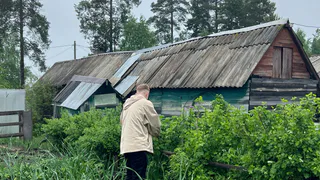 Как правильно избавиться от сорняков на огороде: уксусом, солью, содой или крахмалом