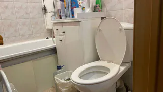 2 шарика в унитаз - и он чист как снег: хоть сдавай по гарантии - ни желтизны, ни вони, ни мочевого камня