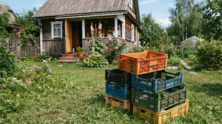 Пластиковые ящики собираю даже у соседей и сразу везу на дачу: 5 способов принести пользу урожаю без заморочек
