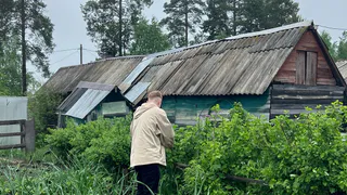 Сыплю весной на все грядки и под все кусты: вместо тысячи подкормок - 1 ложка лучшего удобренияи урожай собираю ведрами