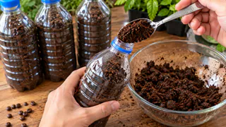Кофейный жмых — в пластиковые бутылки: копеечный дачный трюк помогает решить сразу 3 проблемы