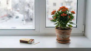 Использую обычную спичку — и из окон больше не дует: 2 минуты, и даже при сильном ветре подоконник тёплый