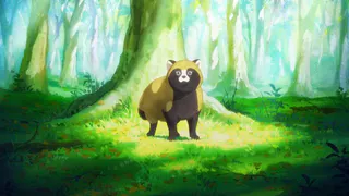 В духе Studio Ghibli: анонсировано терапевтическое аниме «Ты хочешь быть тануки?»