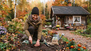 Семена спят до весны, а летом радуют: 5 цветов, которые лучше посеять под зиму